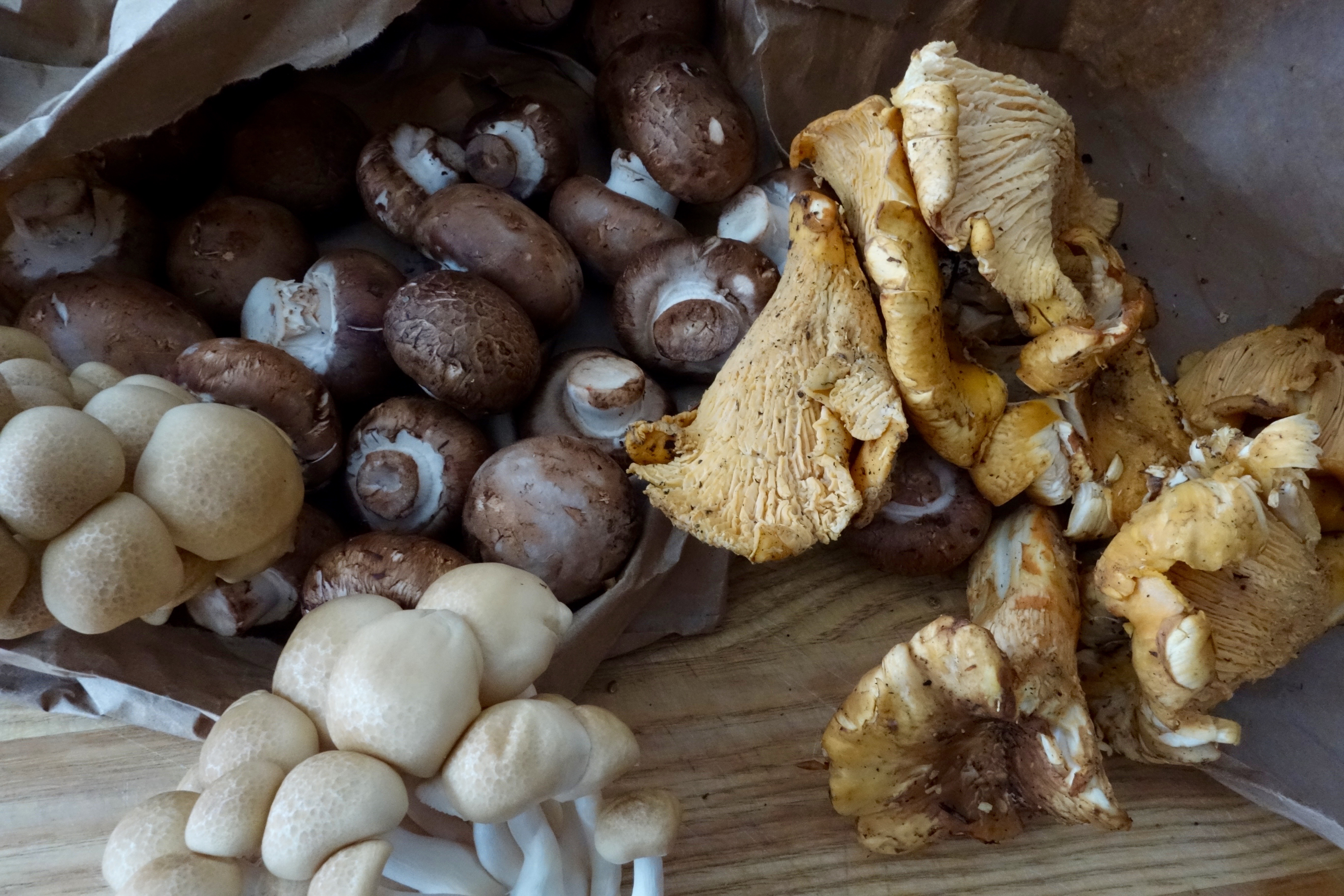 Mushrooms & Polenta