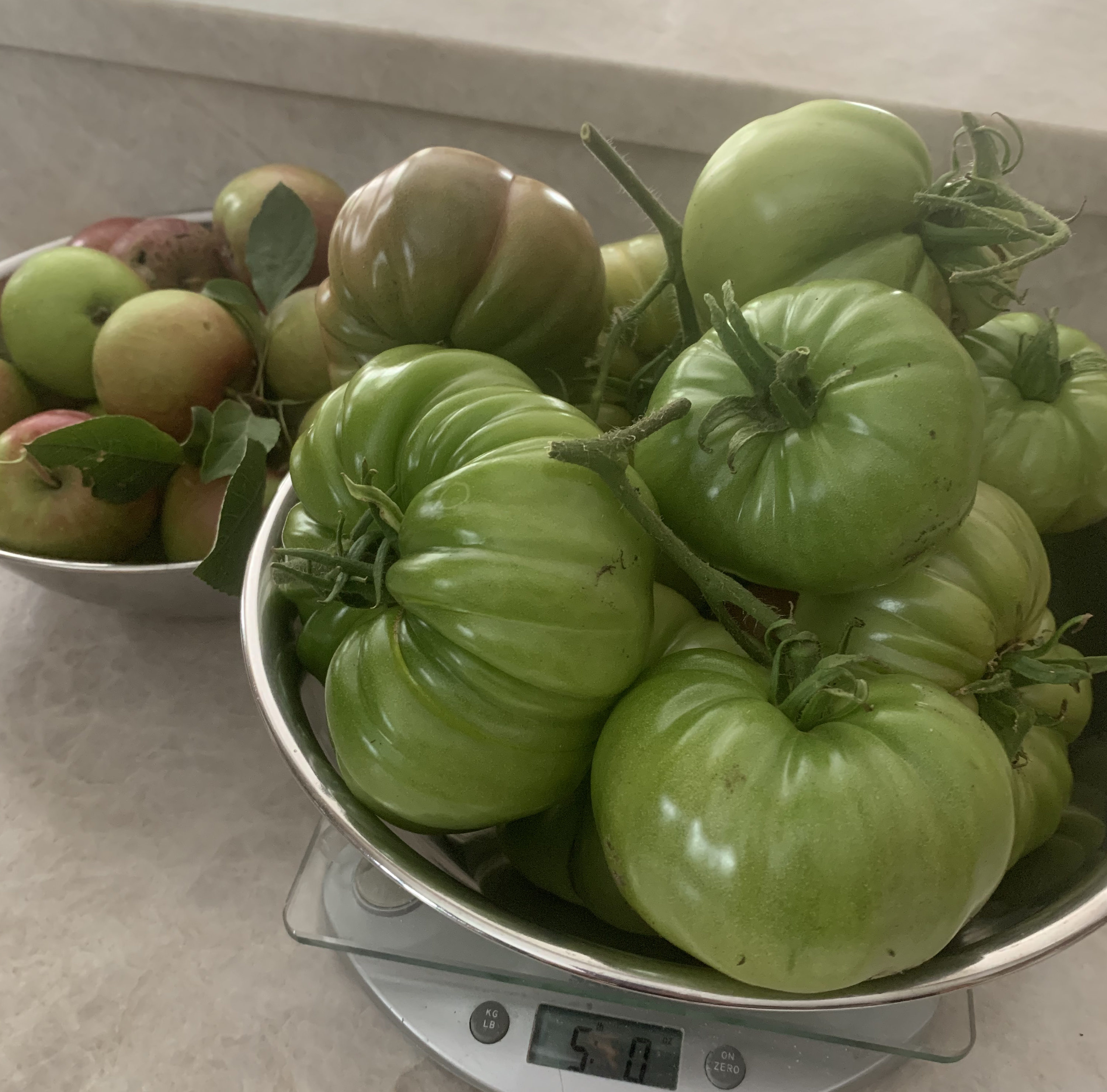 Green Tomato and Apple Chutney (Small Batch)