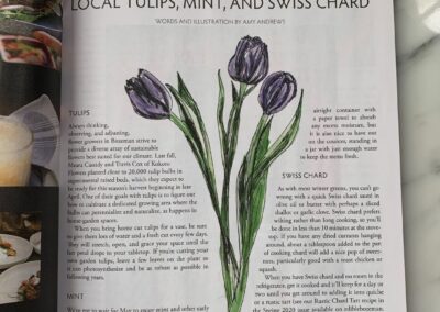 Local Tulips, Mint, and Swiss Chard