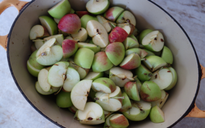 Big Pot of Apples for Applesauce/Compote de Pommes