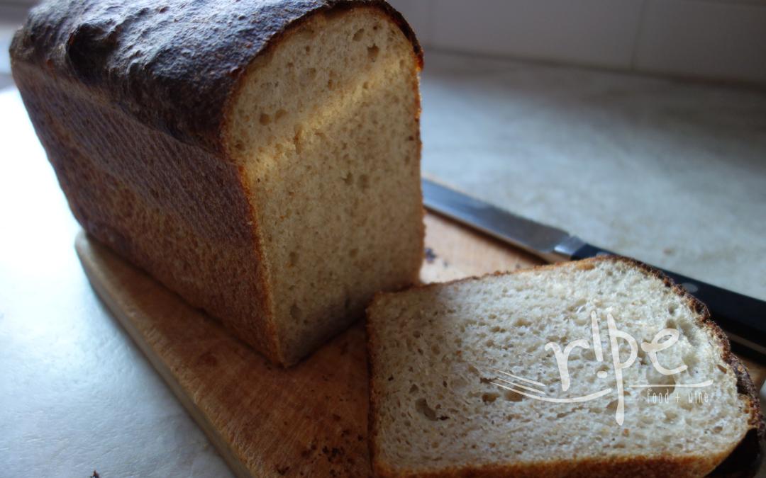 Easy Sourdough Sandwich bread: a Pullman loaf recipe - NINNESCAH HOMESTEAD