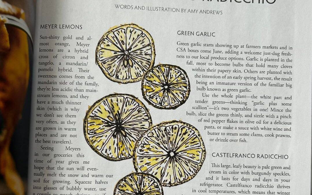 Meyer Lemons, Green Garlic, and Castelfranco Radicchio Edible Bozeman Spring 2023
