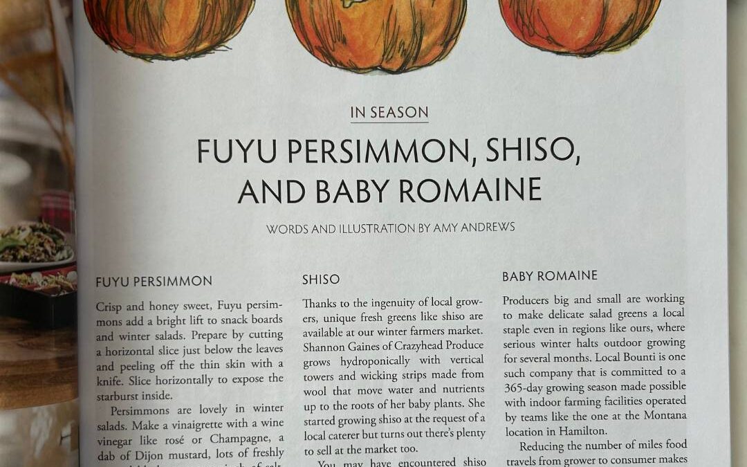 Fuyu Persimmon, Shiso, and Baby Romaine Edible Bozeman Winter 2024