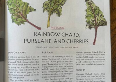 Rainbow Chard, Purslane, and Cherries Edible Bozeman Spring 2024