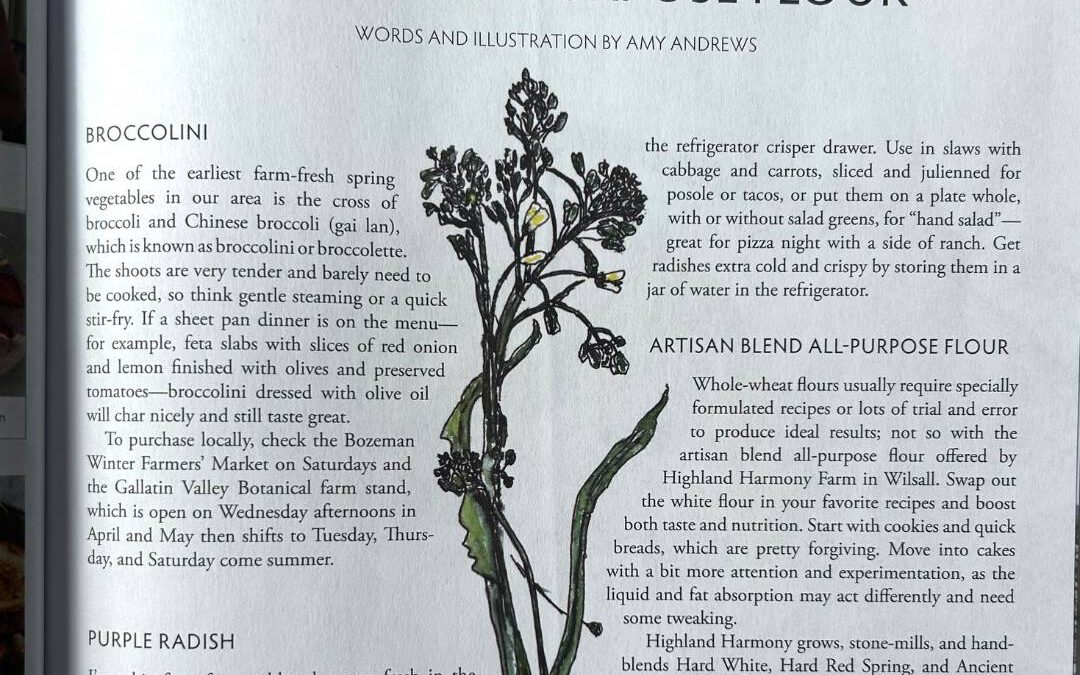 Broccolini, Purple Radish, and Artisan All-Purpose Flour Edible Bozeman Spring 2025