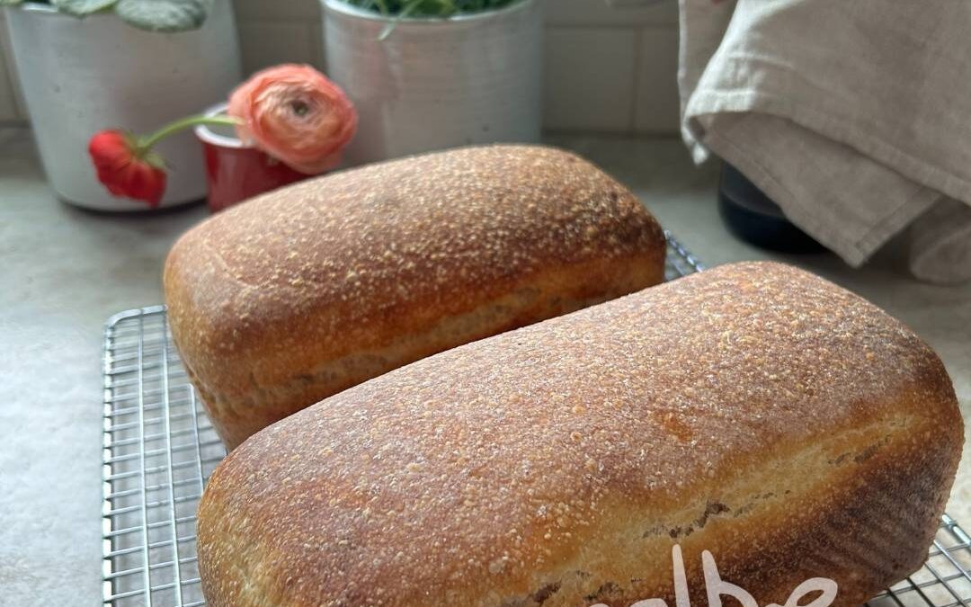 Compact Sourdough Loaf