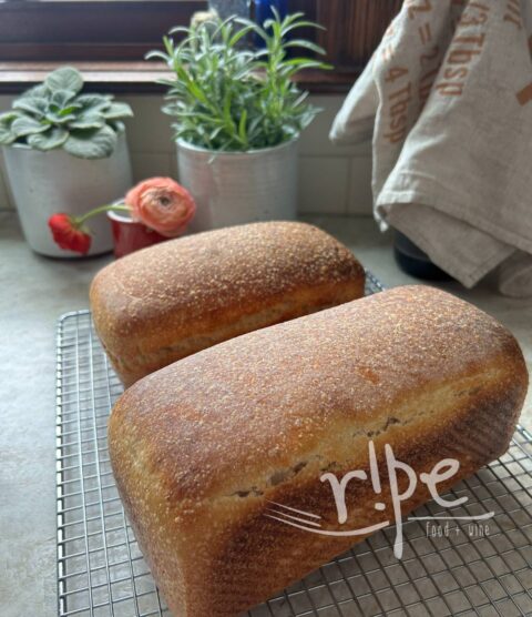 Compact Sourdough Loaf | RIPE