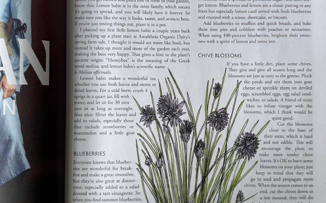 Lemon Balm, Blueberries, and Chive Blossoms Edible Bozeman Summer 2025