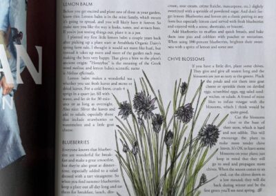 Lemon Balm, Blueberries, and Chive Blossoms Edible Bozeman Summer 2025