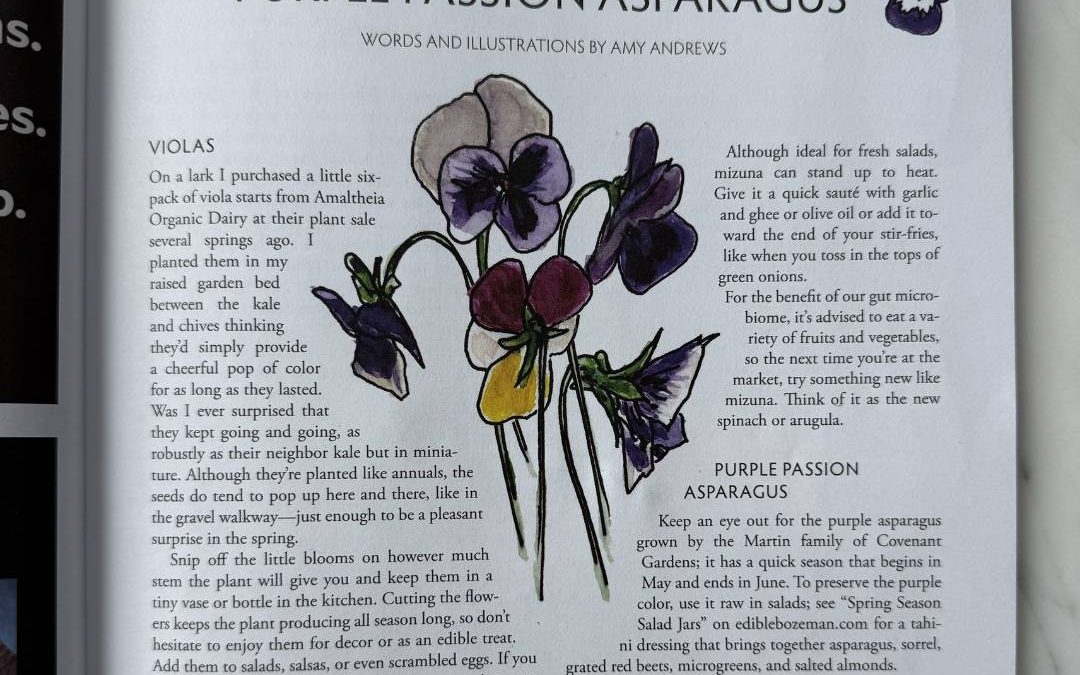 Violas, Mizuna, & Purple Passion Asparagus Edible Bozeman Spring 2026