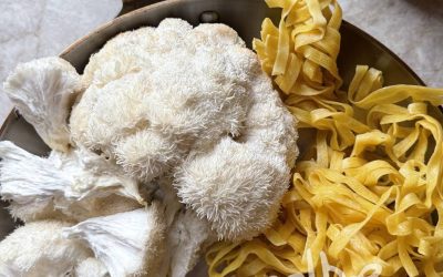 Lion’s Mane Fettuccine Alfredo