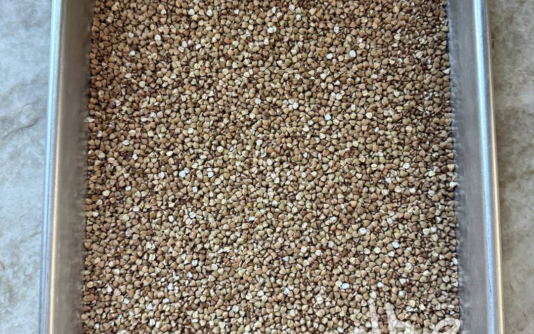 Toasted Buckwheat