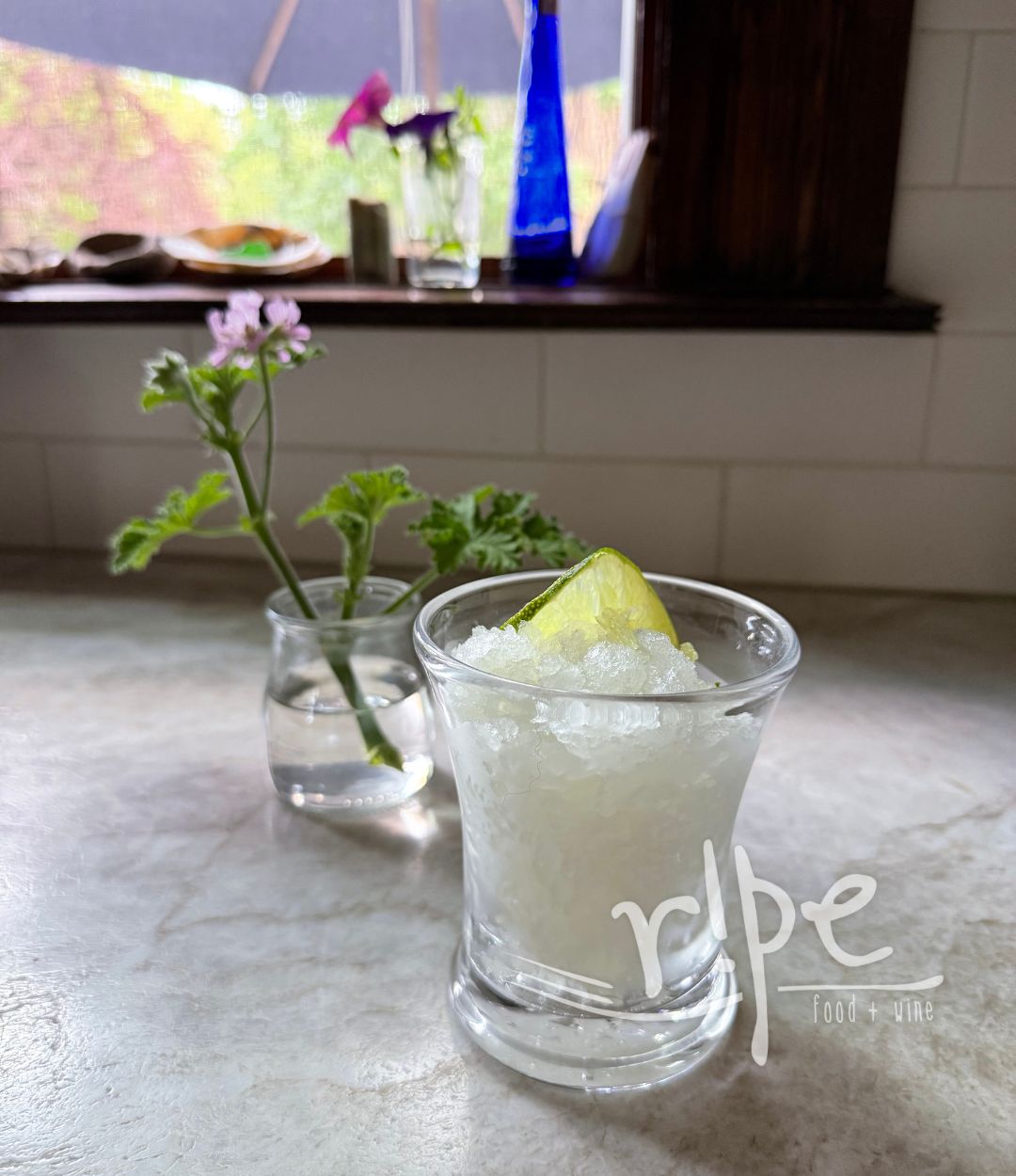 Margarita Granita Canva