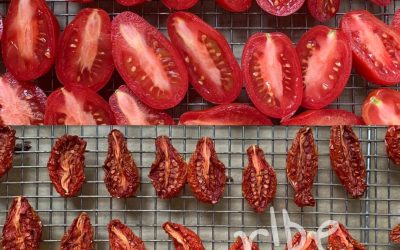 “Sun-Dried” Tomatoes